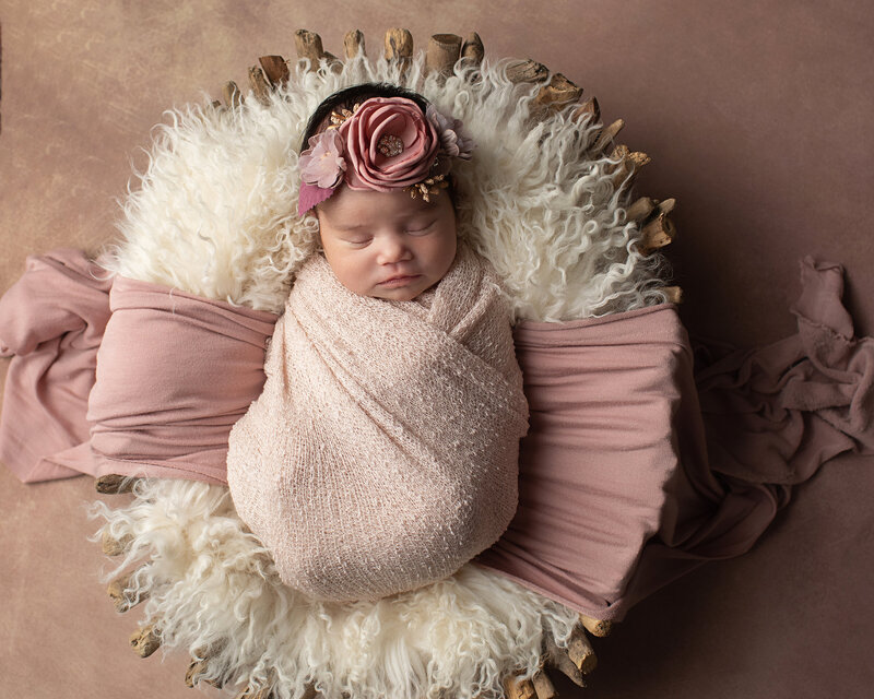 nj-top-newborn-maternity-photographer (9)