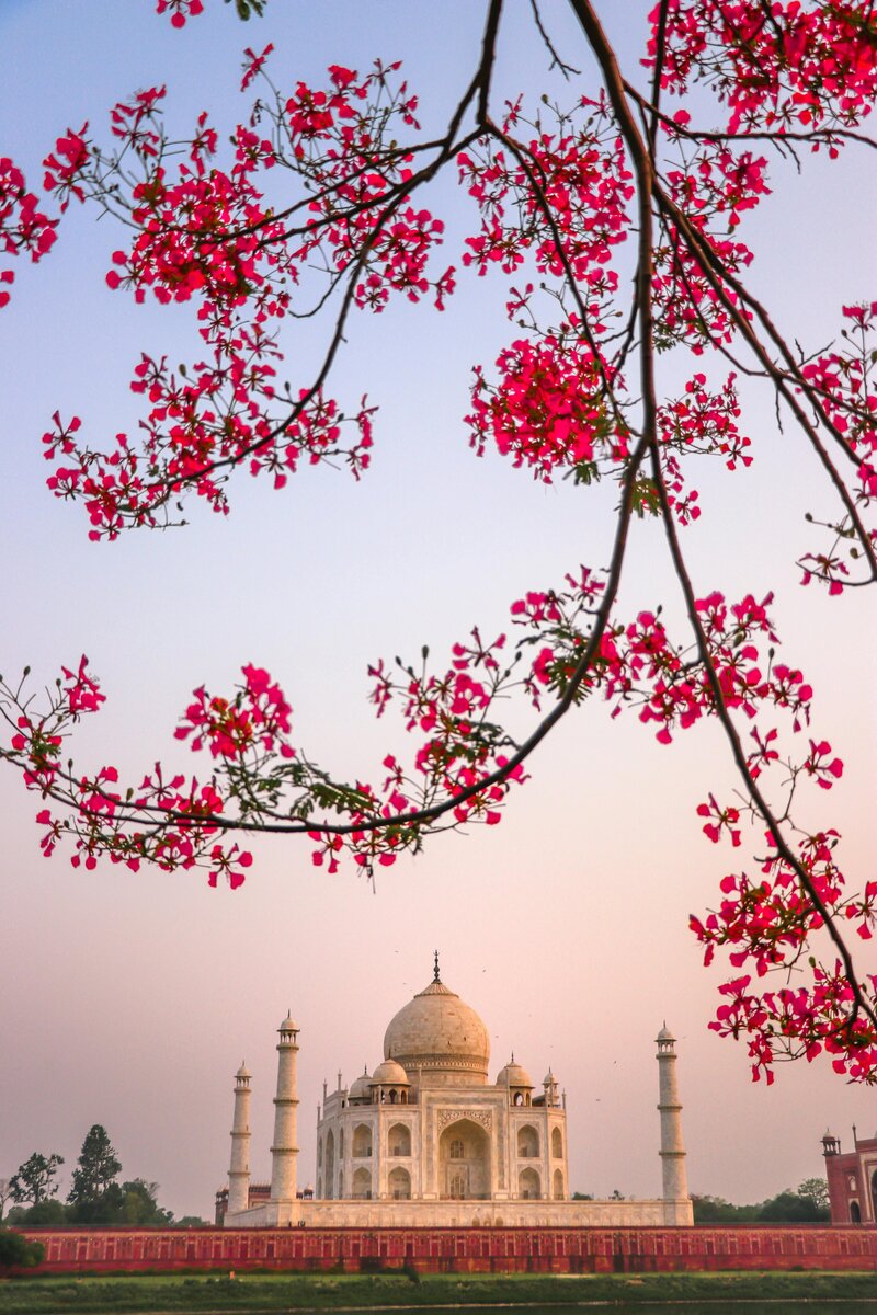 pexels-navnidh-5458393