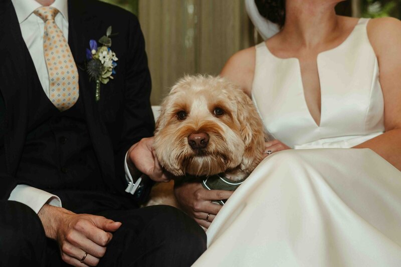 Spontane trouwfotografie door: Get framed photography bij de Havixhorst Overijsel NL