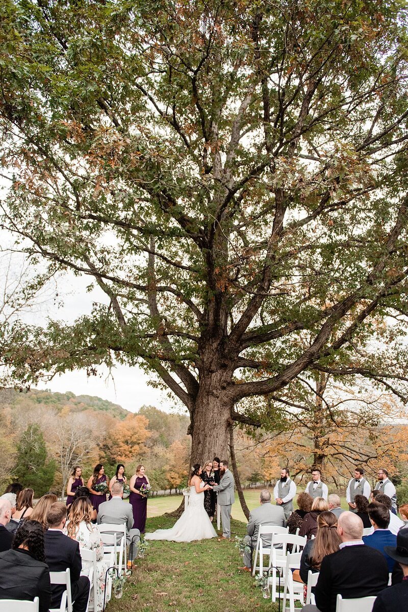 Bride and Groom holding hands and standing under tree at Pick Inn