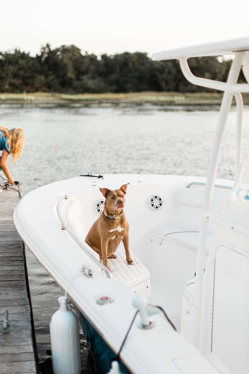 Dogs love boats in this beautiful engagement session inBeaufort NC.
