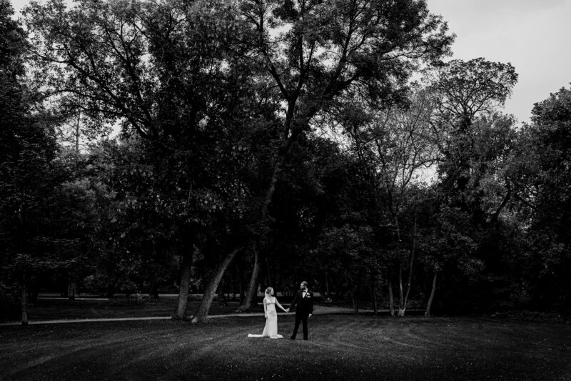 bride and groom standing in a field wide view
