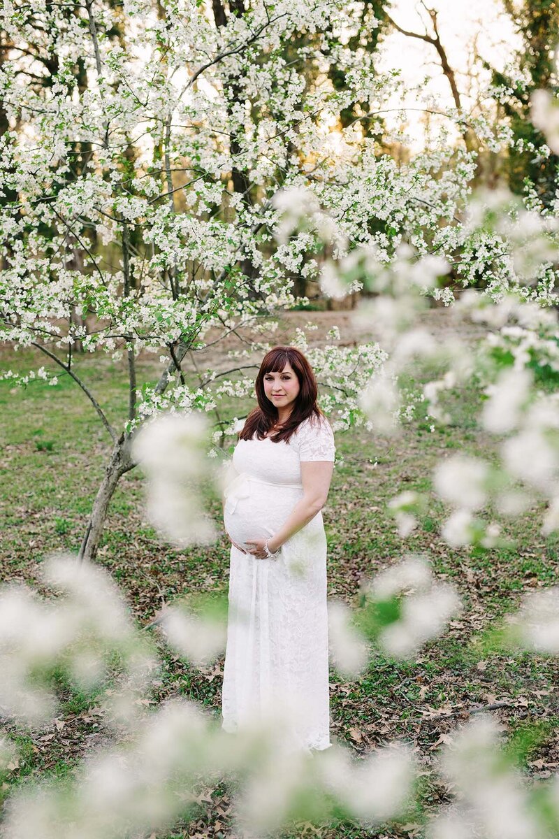 memphis maternity photography by jen howell 14
