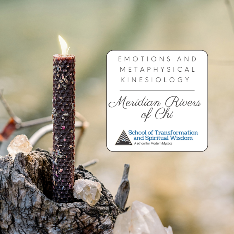 Poster image for Meridian Rivers of Chi Kinesiology Course