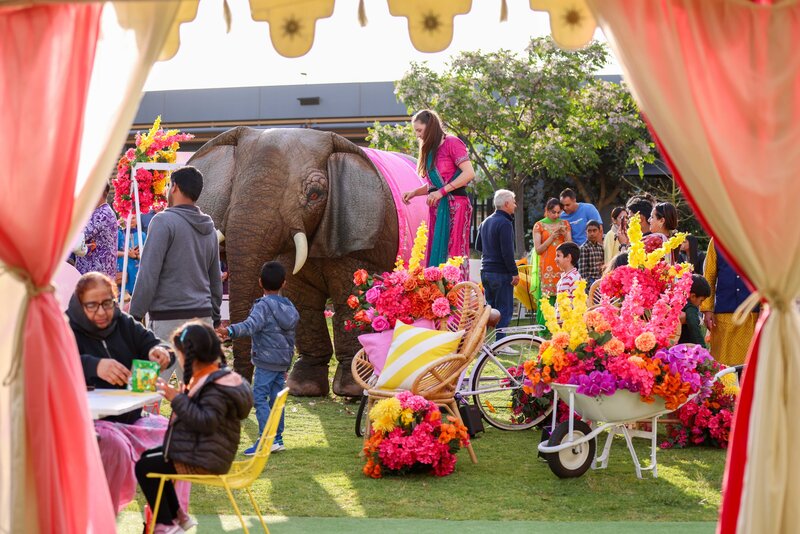 The Grove Diwali Event (November 4th) 90