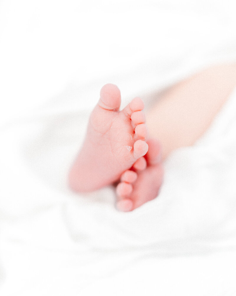 Enterprise Alabama Newborn Photographer