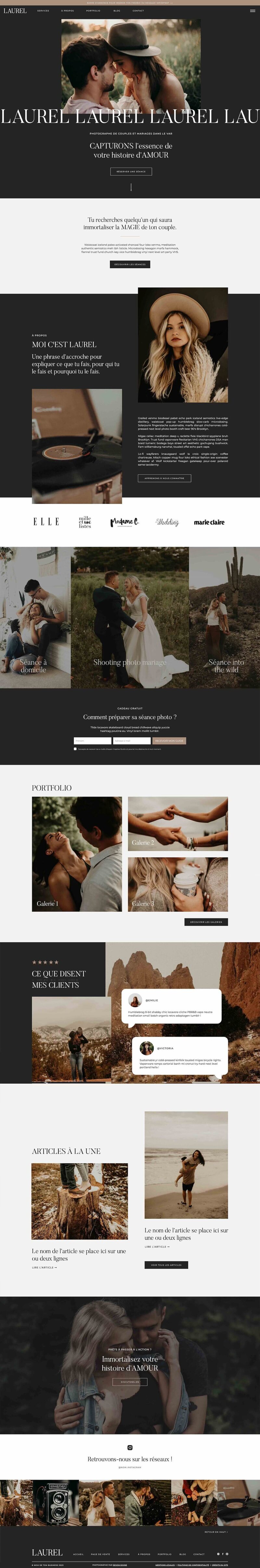 Capture d'écran du template de site Internet Showit Ash