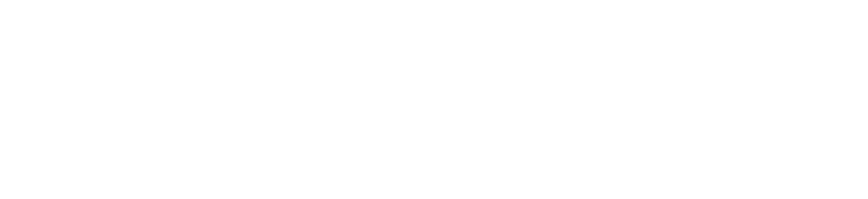 Logo - PMI