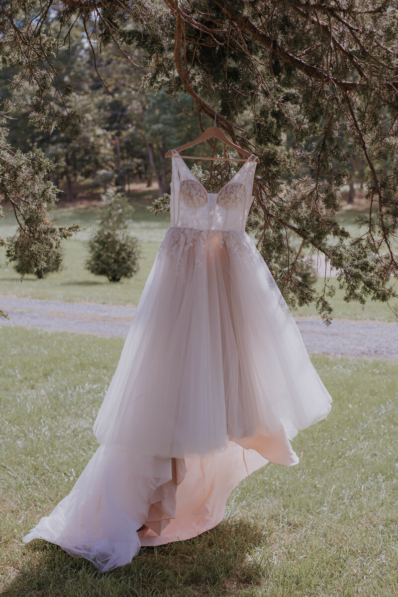 A white wedding dress with a lacy bodice and flowing tulle skirt hangs from a tree branch in a grassy area. Sunlight filters through trees in the background, crafting a serene outdoor setting reminiscent of an elegant reception venue gallery.