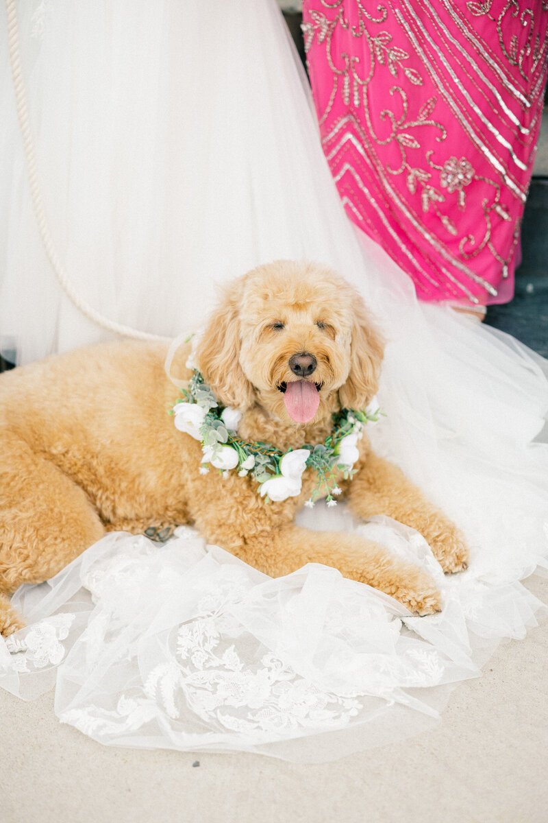 Manor-House-Wedding-Photographer-52