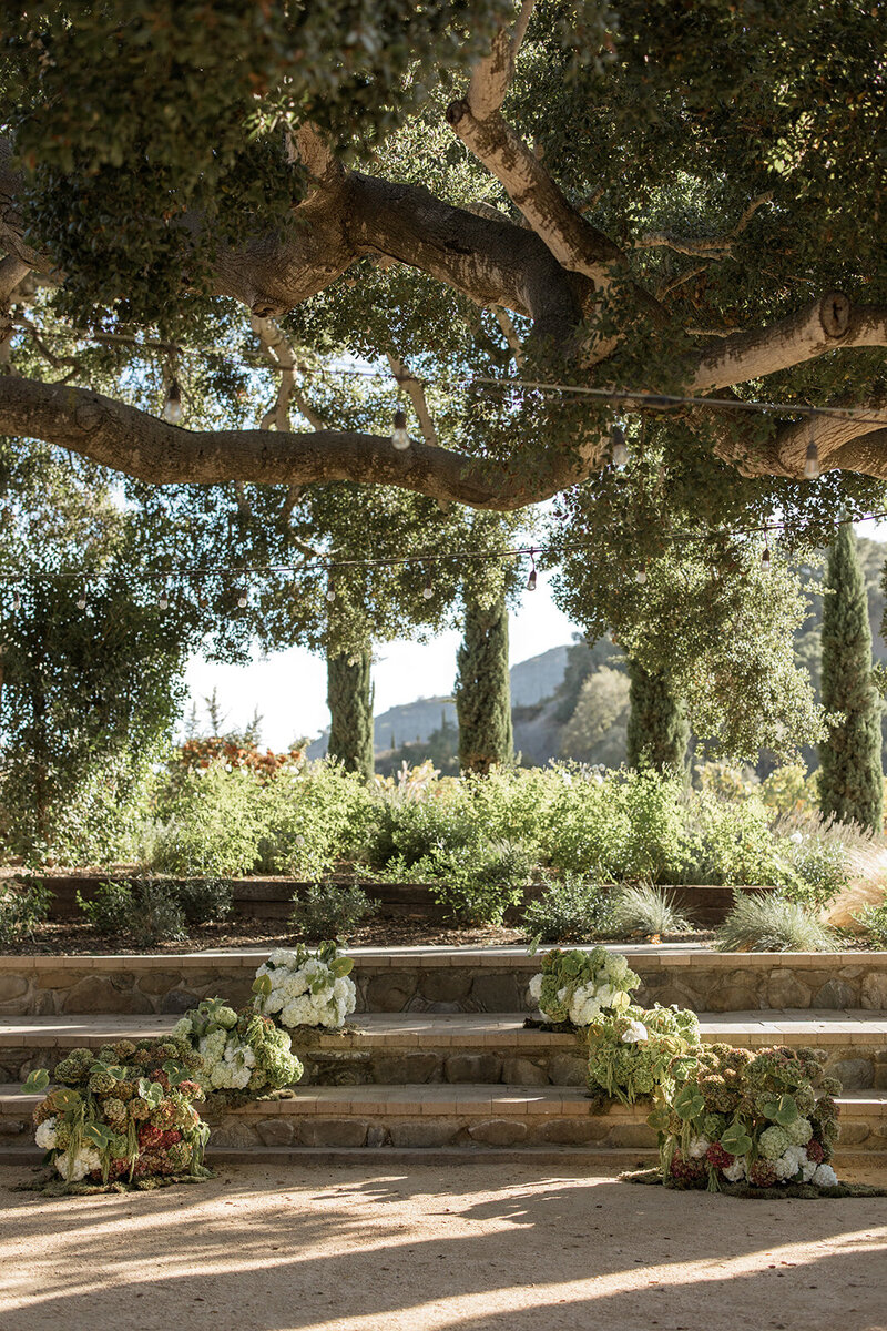 Malaya Images - 102525 Caterina and Marc - Sneak Peeks (41 of 104)_websize