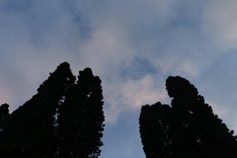 St.MichaelsMansion-91