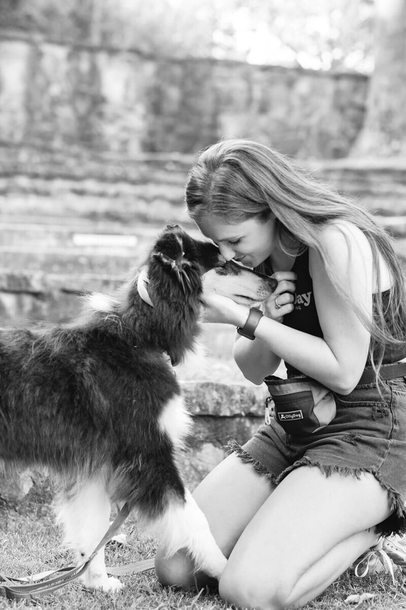 Night + Day Dog Training - DMP 2024-85_websize