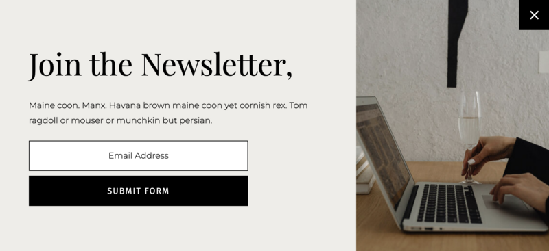 Pop-up Canvas for Showit website