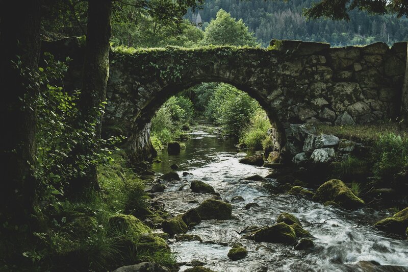 fabien-twb-randonnée-montagne-vosges