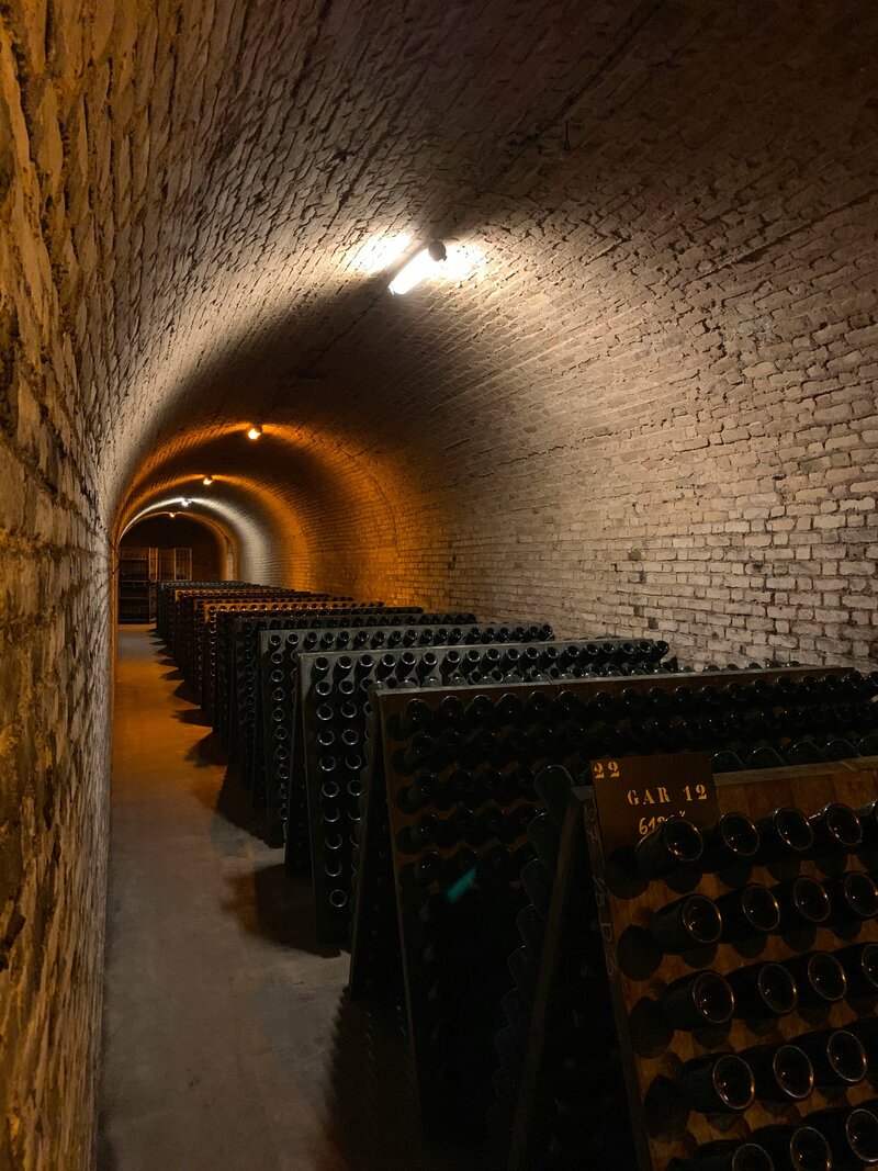 vineyards-champagne-french-region