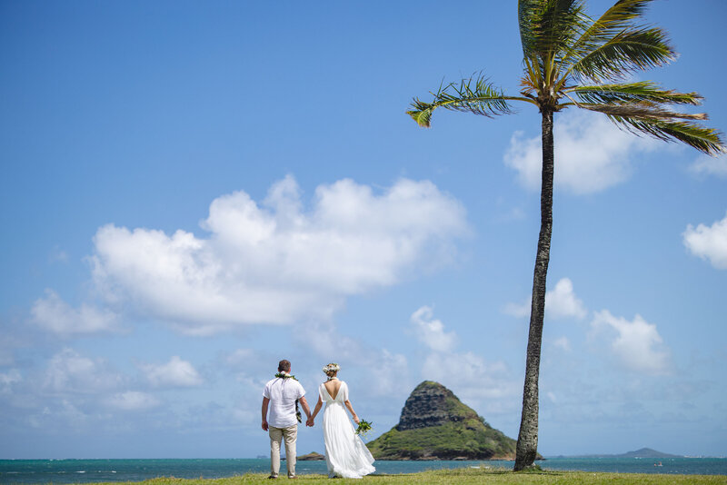 Kualoa Regional Park Wedding 6