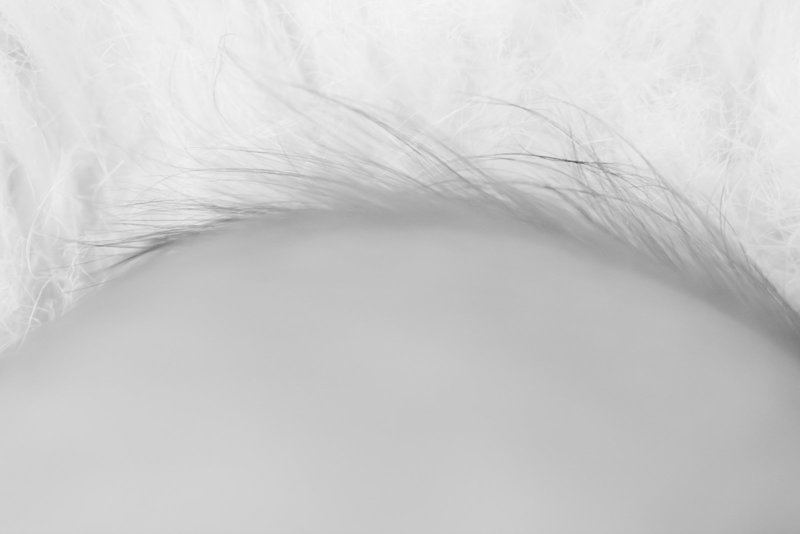 Lafayette-Louisiana-Photographer_30