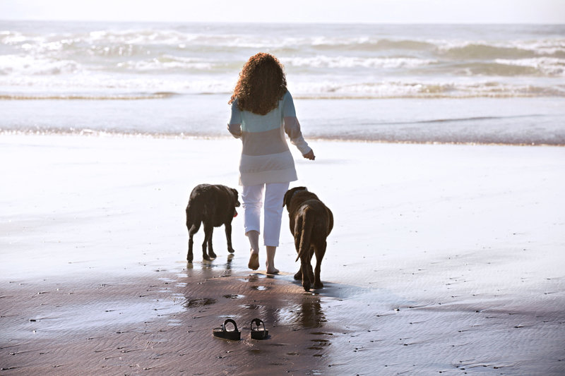 A person with curly hair wearing a striped shirt and white pants walks along a beach with two dogs. The person is barefoot, carrying their shoes in one hand. Waves gently crash on the shore in the background.