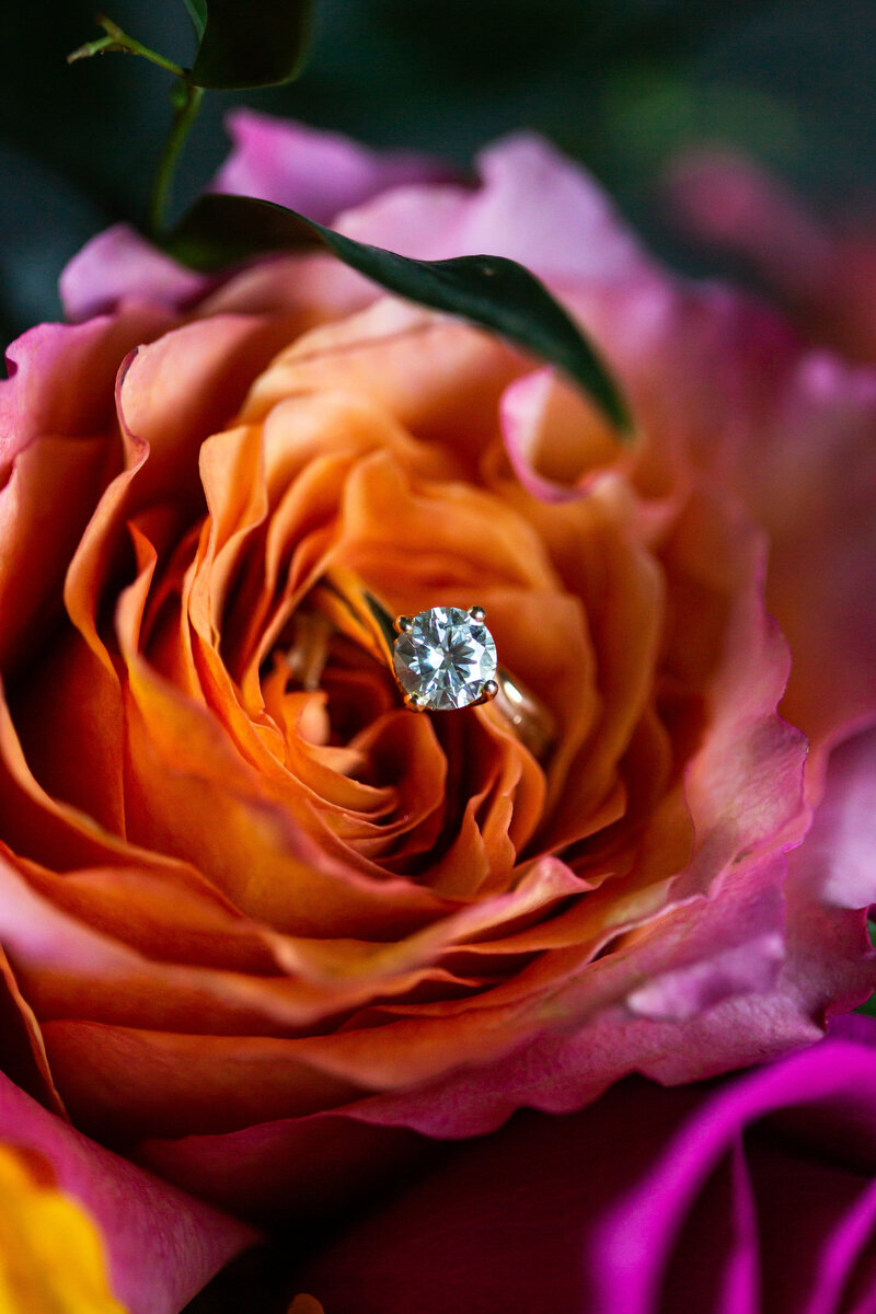 Diamond wedding ring sitting inside a rose, wedding details, Maryland Wedding