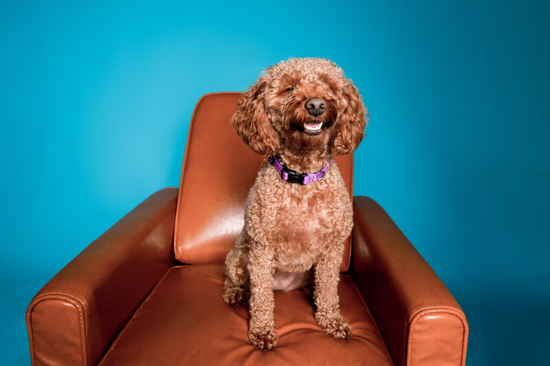 new jersey wedding photographer shooting a gorgeous elopement