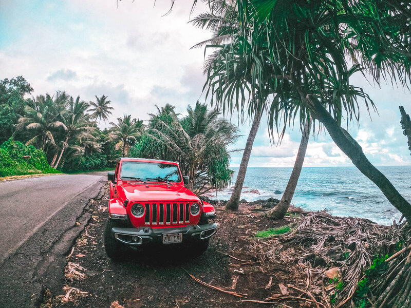 Girlboss-Designer-Travel-Tropical-47
