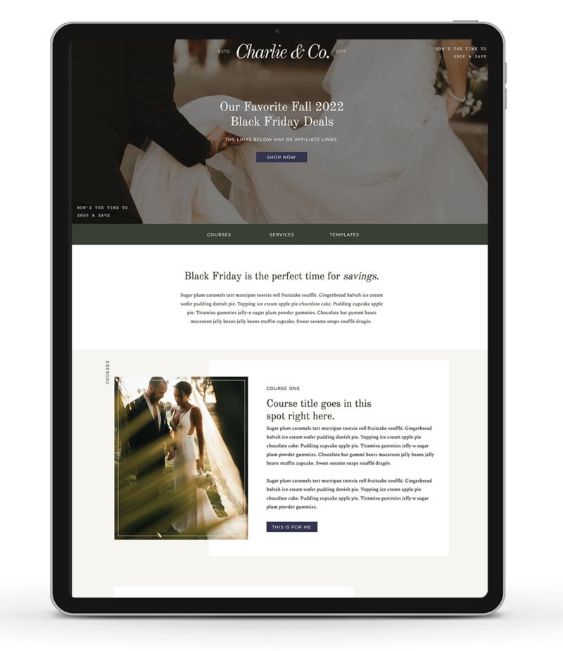 ipad mockup of showit template sales page