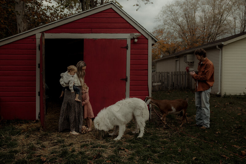 Family photography, farm photography