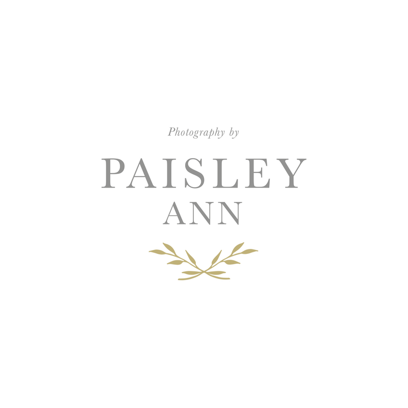 paisleyann_mainlogo