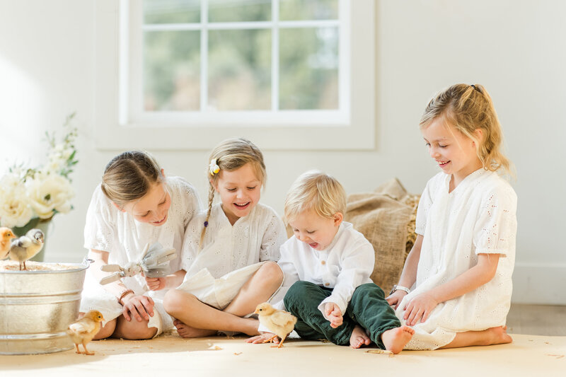 C09A4690-Enhanced-NR