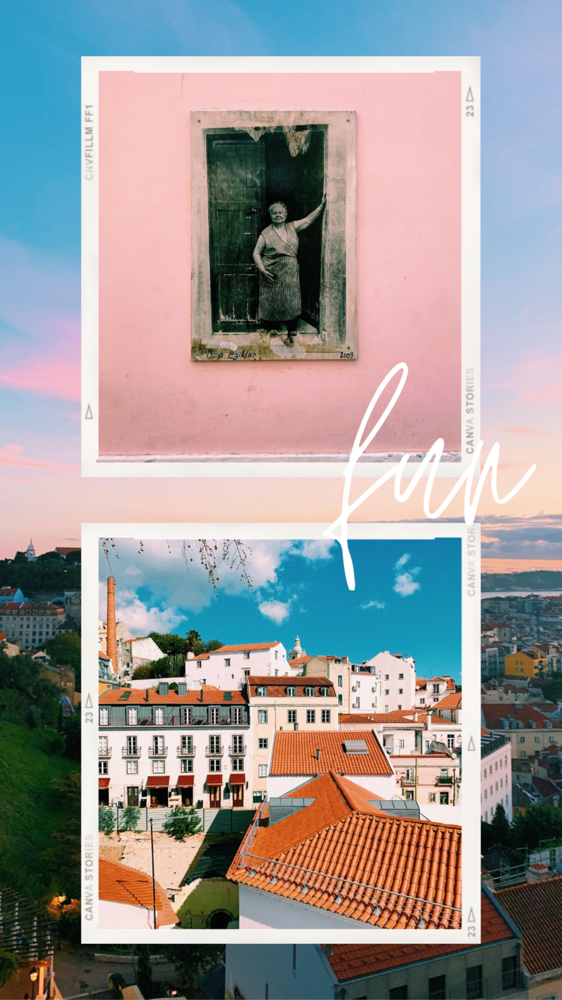fun infographic with pink lady and rooftops