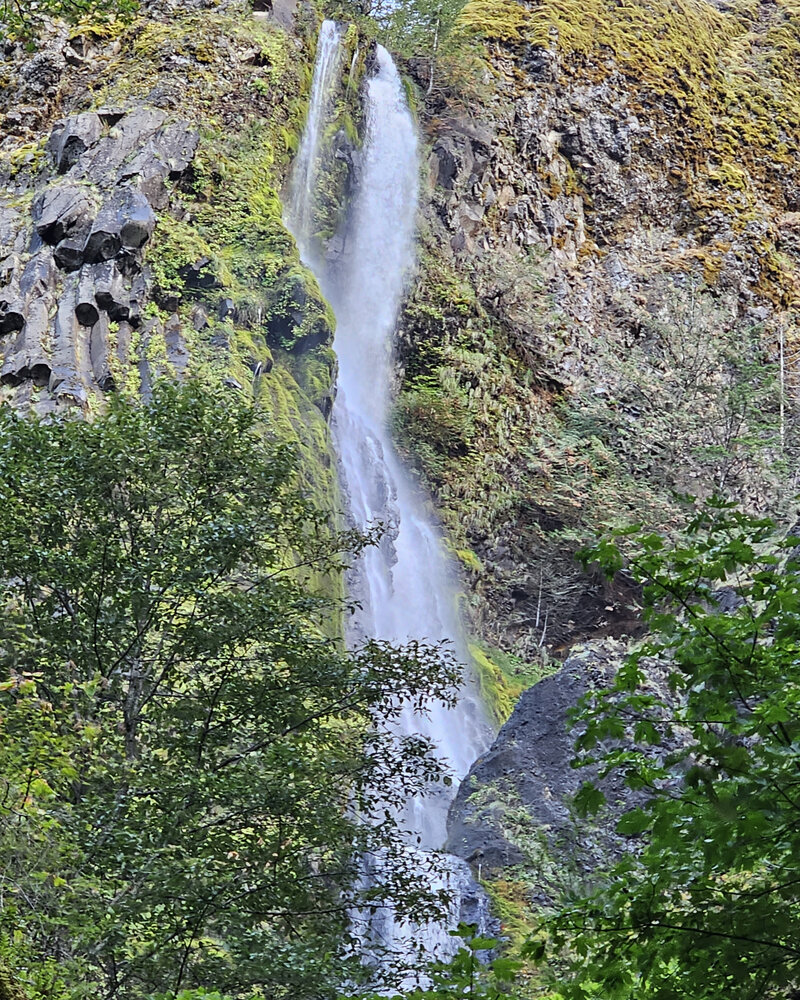 Immerse yourself in the peaceful atmosphere and stunning beauty of the serene waterfalls at Viento State Park with The Gorge E-Bike Adventure Rentals
