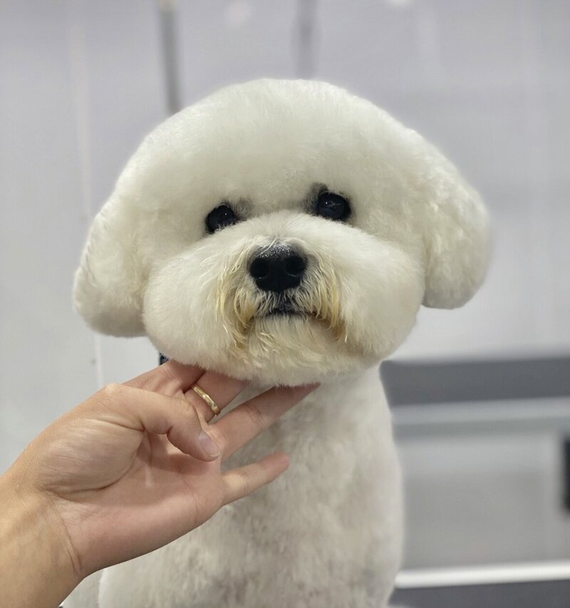 6D70D2E0-9020-45A2-998A-6DA9CC219453_1_201_a