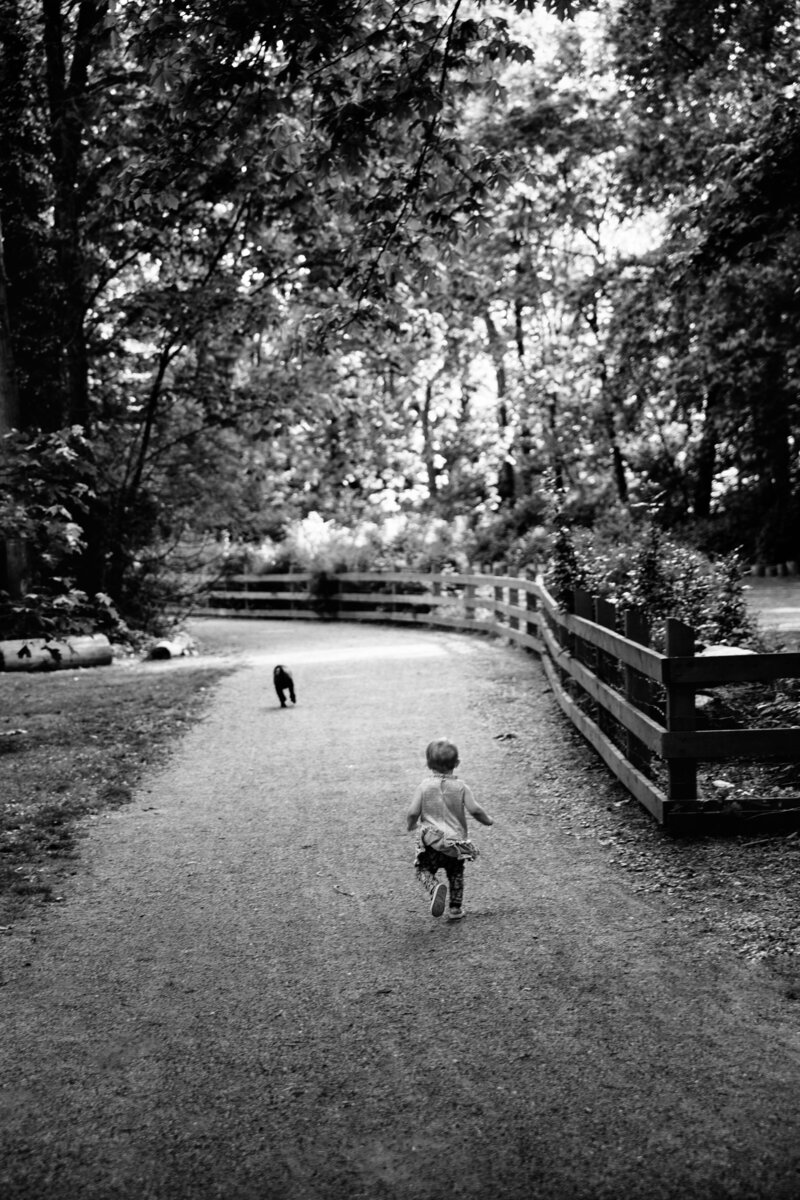 _MG_0721-2