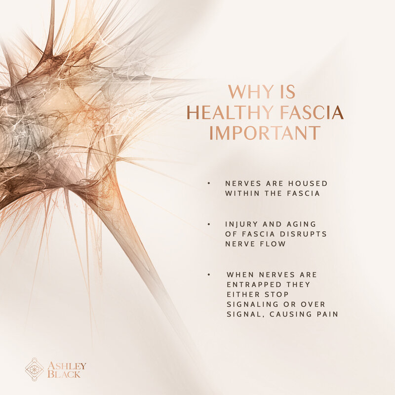 Fascia Health _ Nerves Post