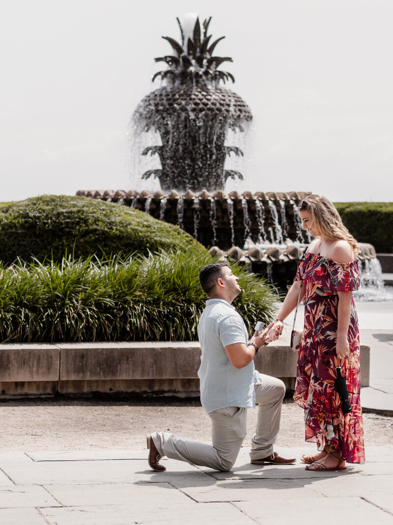 Charleston Proposal (9)