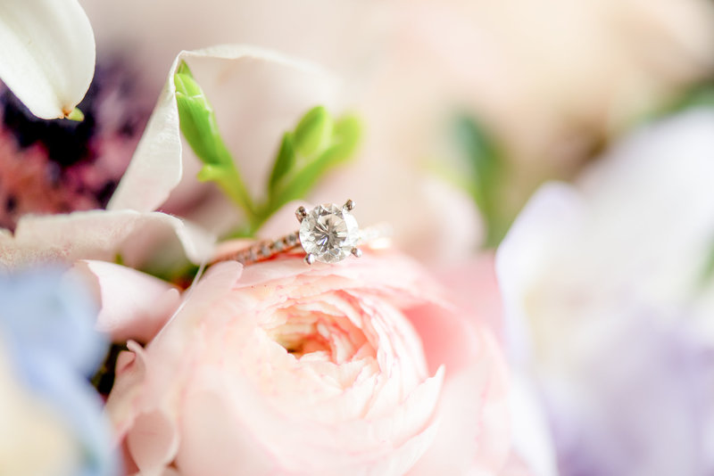 Diamond Ring on a pink rose