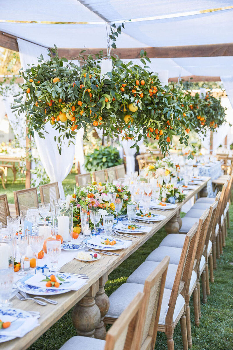 Shaded outdoor wedding reception space with light wood tables decorated with vintage blue and white plates, small orange fruits, and large baskets of the orange fruit plants hanging above.