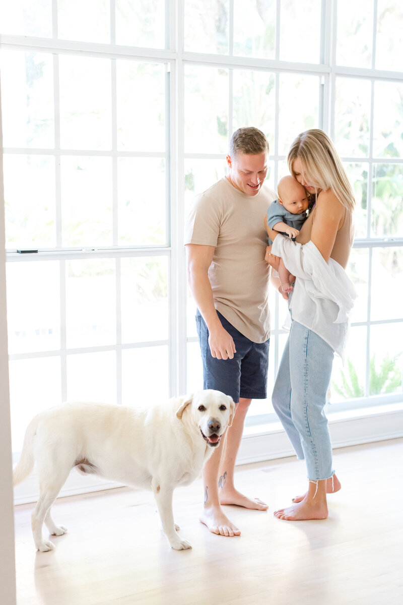 Couple holds new baby near windows while looking down at dog during in home photo session in Tampa, Florida