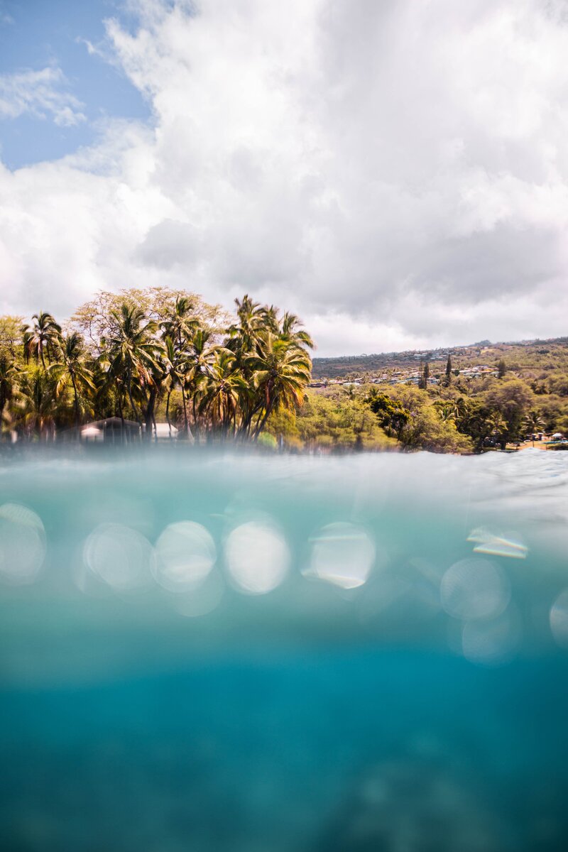 a beach in kauai