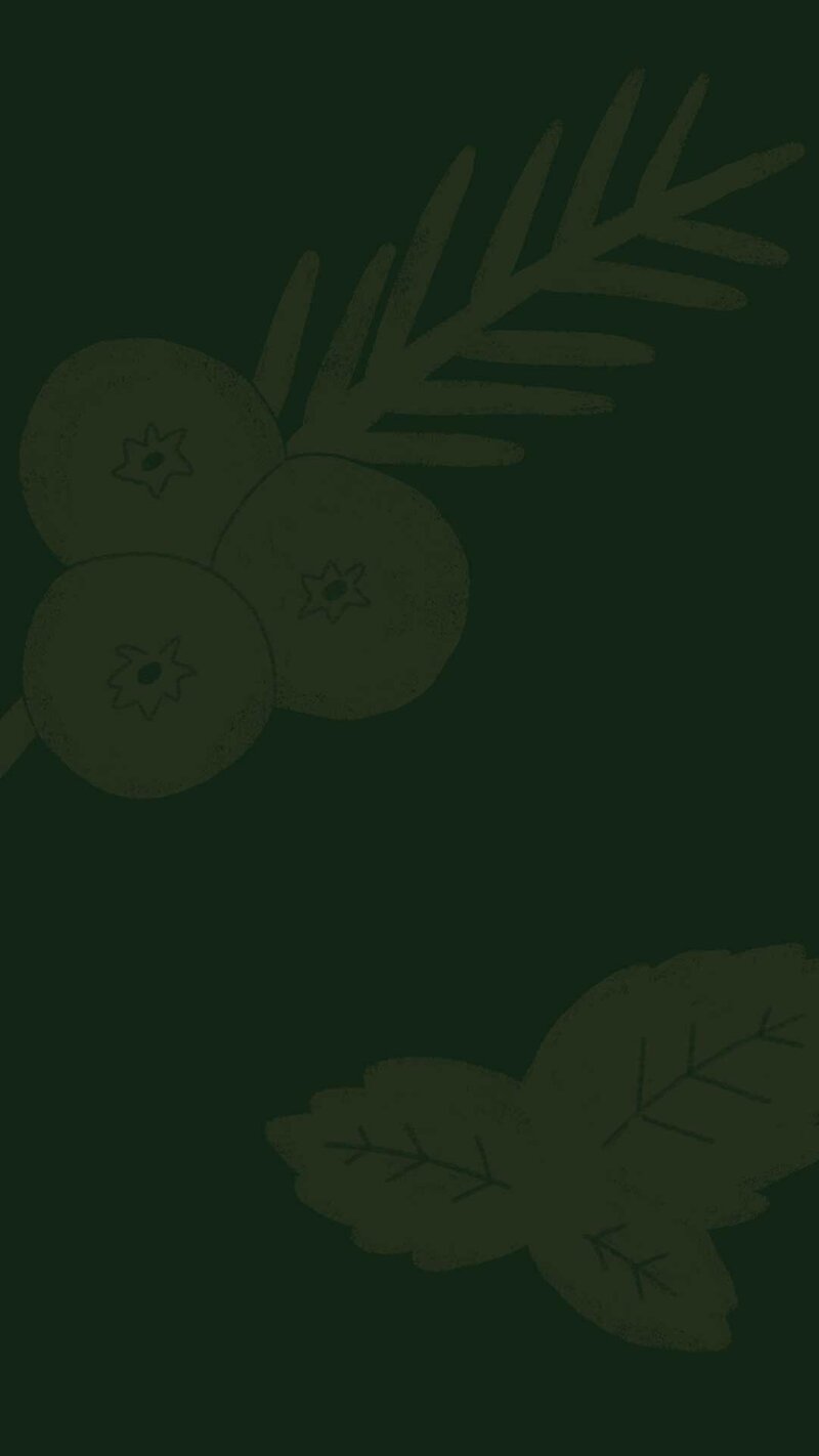 semi custom branding package