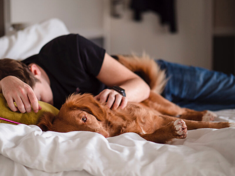 man taking a nap next to his dog