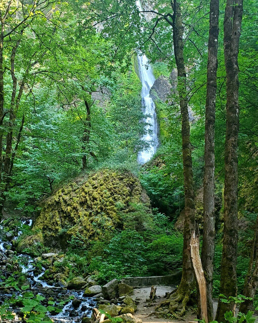 Explore picturesque spots with lush greenery and stunning waterfalls while riding our e-bikes at Viento State Park with The Gorge E-Bike Adventure Rentals