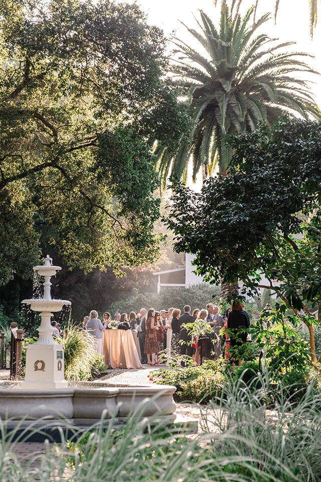 Napa Wedding Photographer