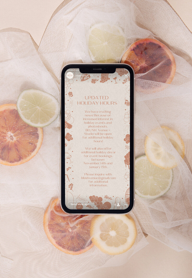 Blush Announcement Background Mockup copy