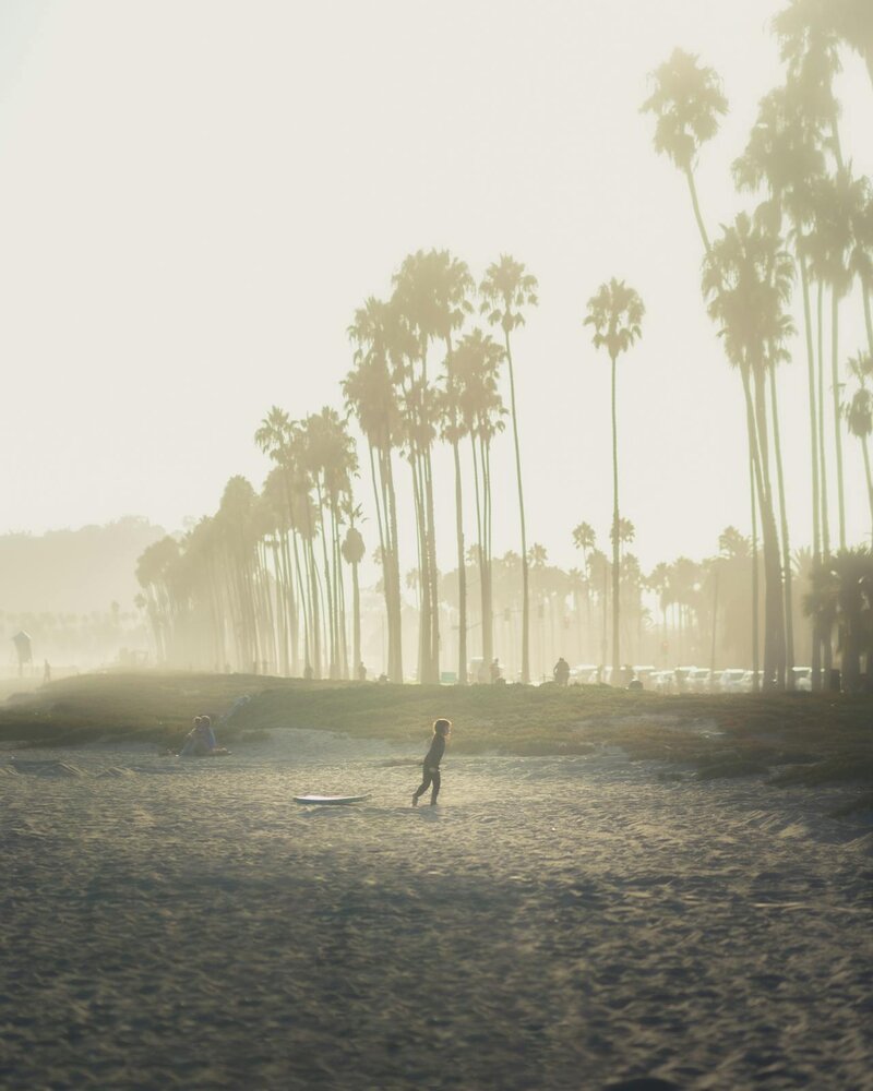 Family therapy services in Santa Monica and Ojai