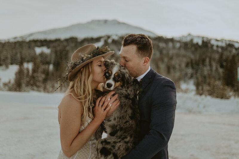 winter wedding photo with dog