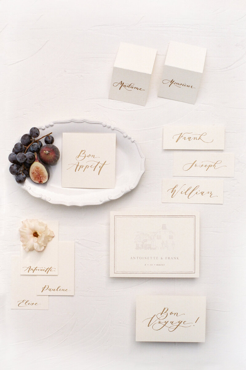 Anna_Grinets_Photography_Paris_Minnesota_Wedding_Photographer_372