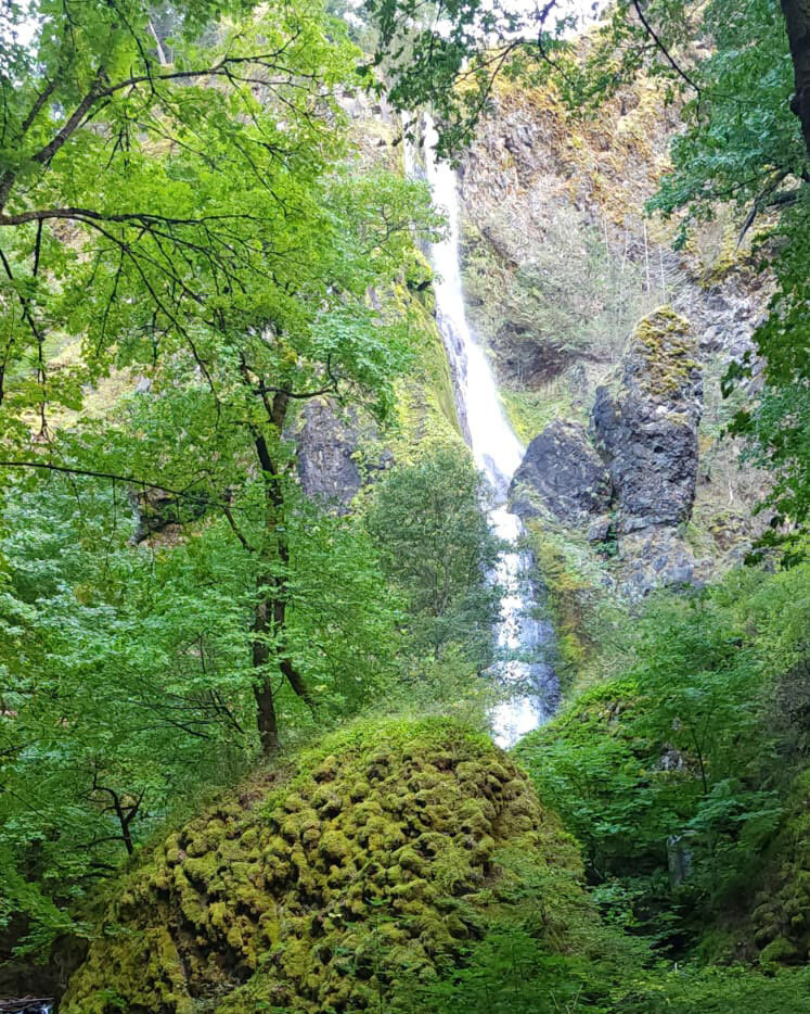 Encounter stunning hidden waterfalls along the way while exploring Viento State Park with The Gorge E-Bike Adventure Rentals