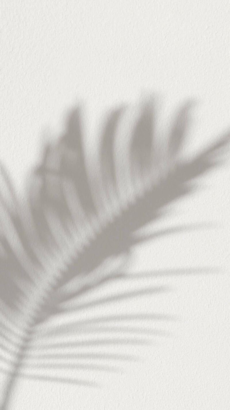 shadow-of-palm-leaf